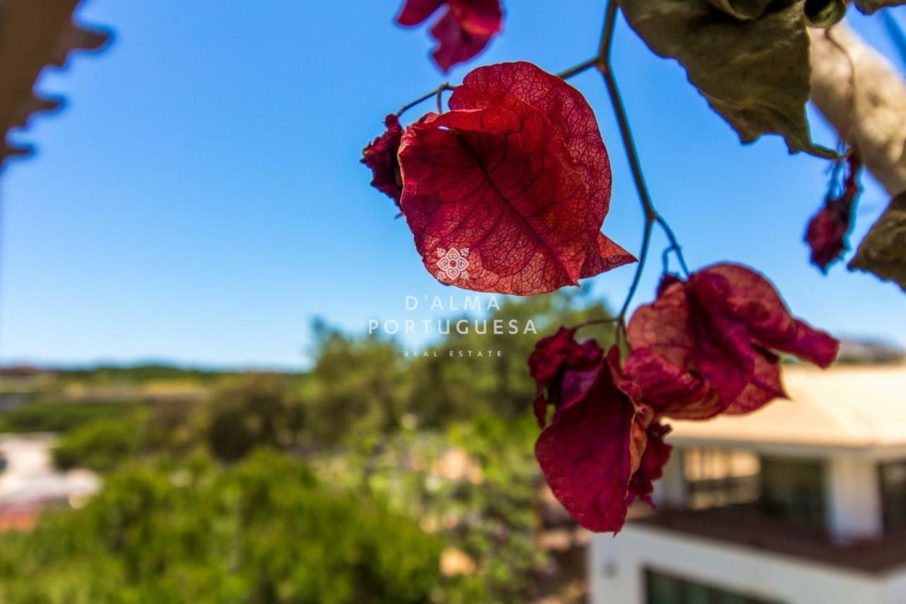 D'Alma Falesia Beach Apartment - By Dalma Portuguesa อัลบูเฟรา ภายนอก รูปภาพ